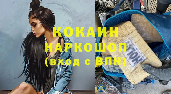 бошки Белокуриха