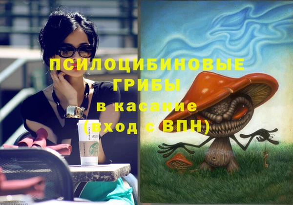 COCAINE Богородицк
