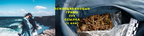 COCAINE Богородицк
