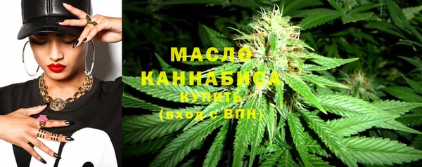 МДПВ Богородск